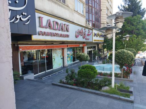 عکس شیرینی لادن