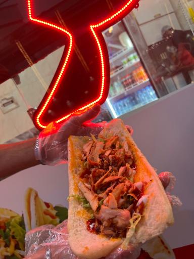 عکس کباب ترکی دیار