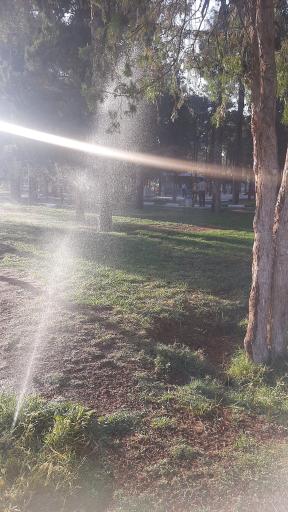 عکس پارک لاله