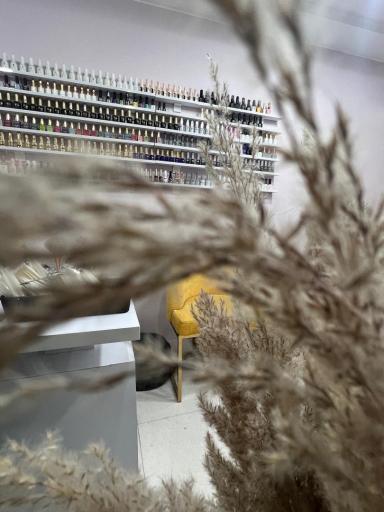 عکس آموزشگاه و آرایشگاه دریا بانو 