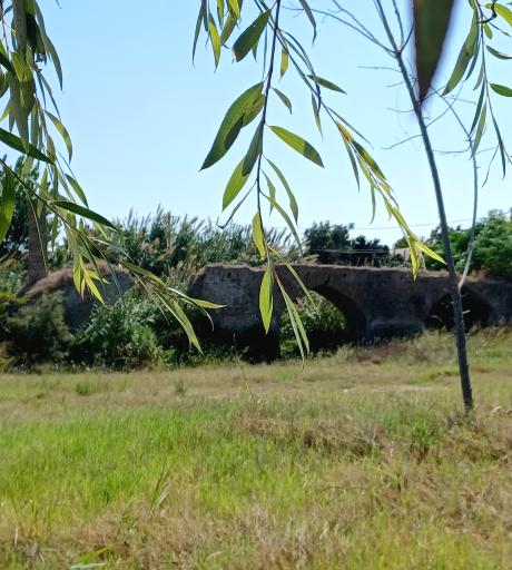 عکس پل صفوی