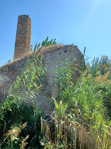 عکس پل صفوی