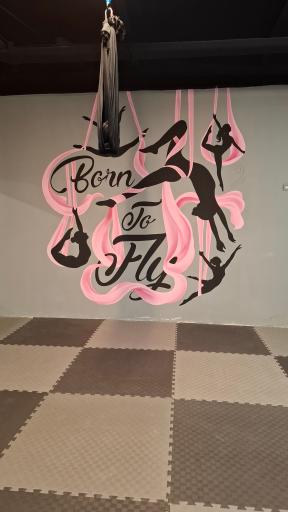 عکس سالن ورزشی بانوان صفایی شعبه دوم