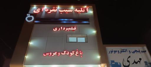 عکس آتلیه سیب نقره ای