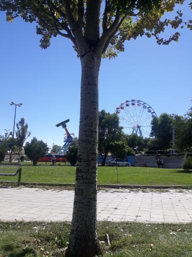 عکس پارک میراث