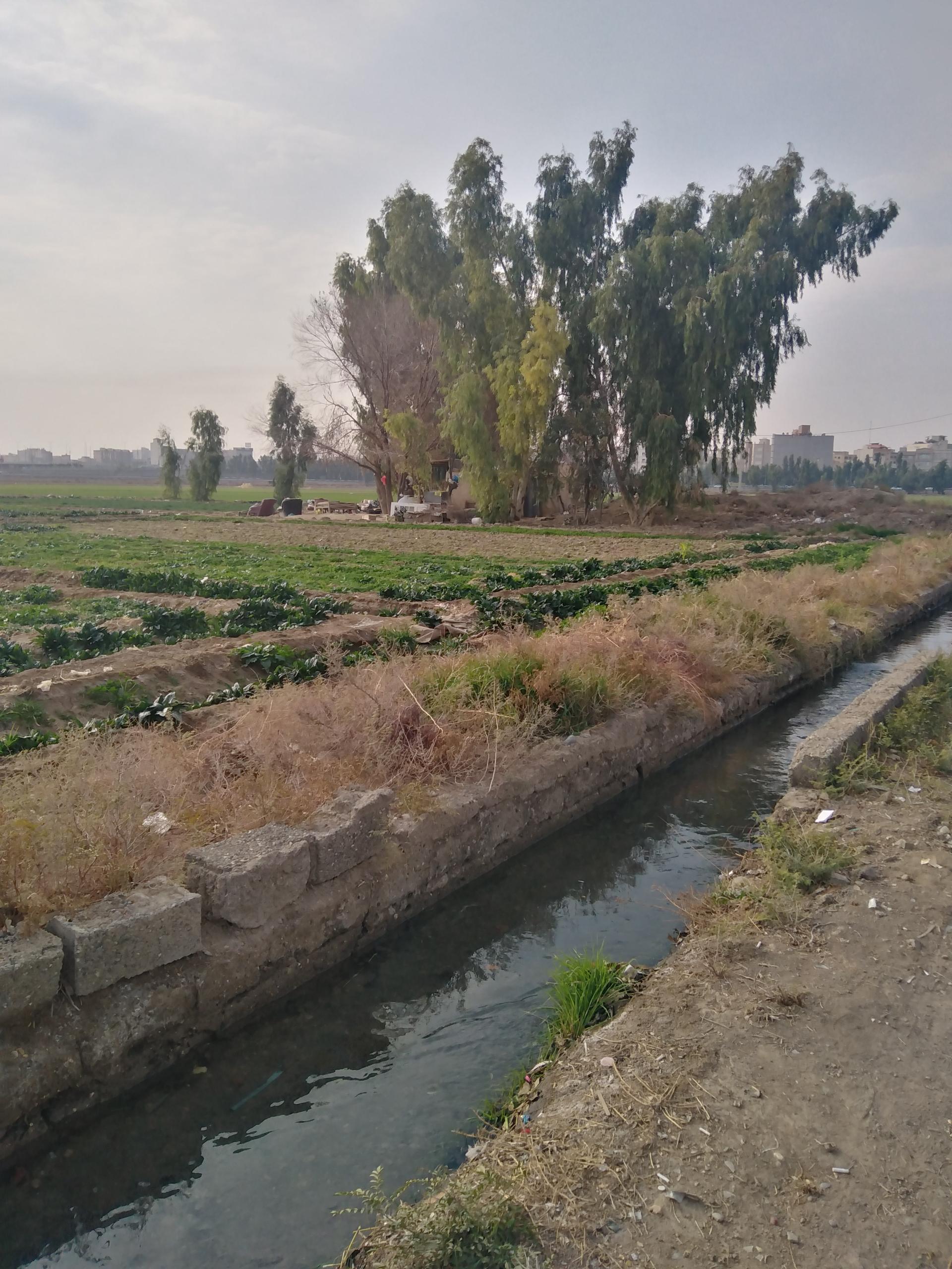 عکس سبزی فروشی بهروزی