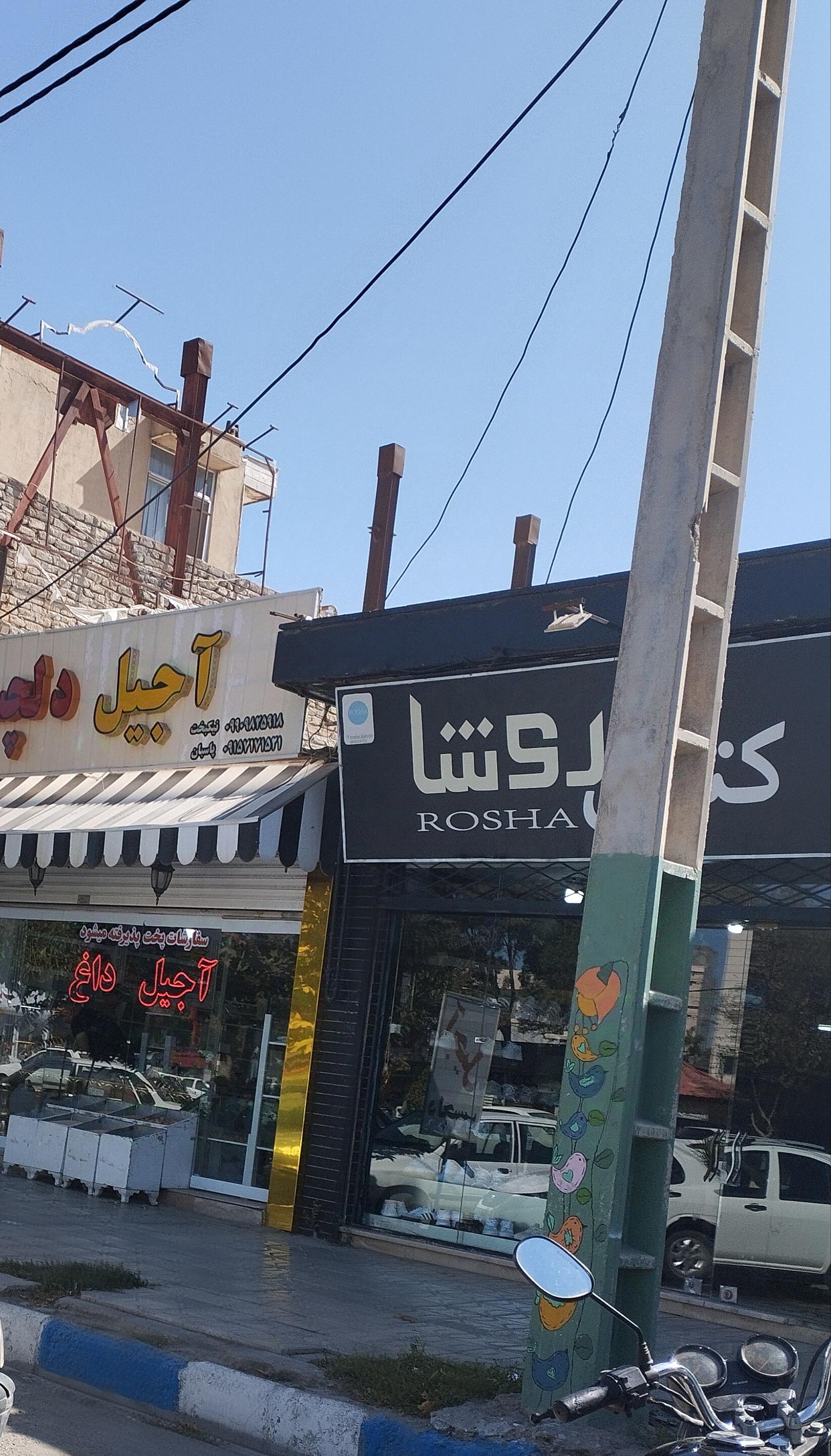 عکس کتونی روشا