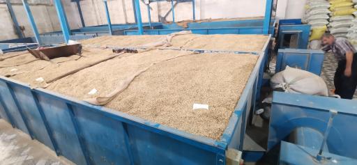 عکس کارخانه شالیکوبی ساقه طلایی