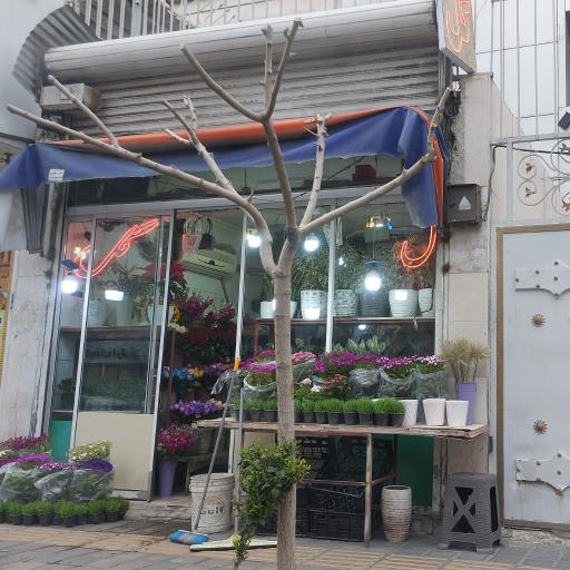 عکس گلستان یاس