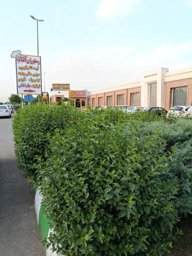 عکس مجتمع جنوبی آفتاب درخشان صحرا