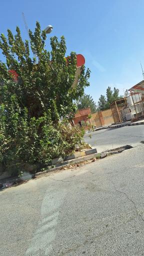 عکس پمپ گاز CNG میدان قائم اسلامشهر