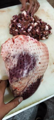 عکس جگرسرا شبستان