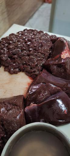 عکس جگرسرا شبستان