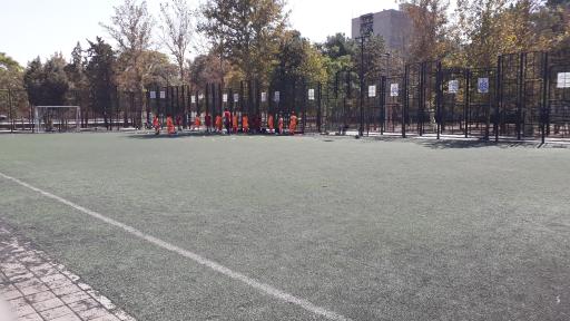 عکس چمن مصنوعی فوتبال