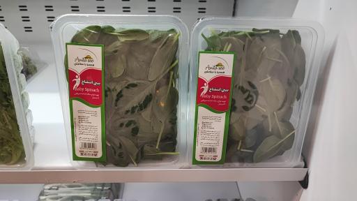 عکس فروشگاه آنیتاسو