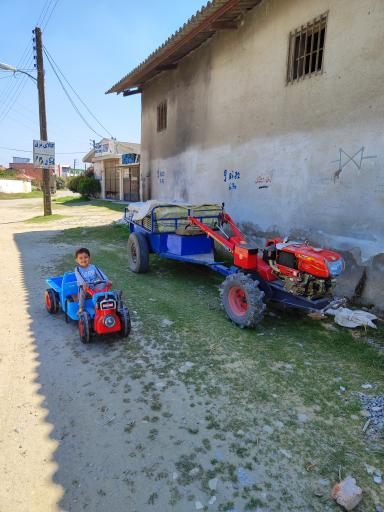 عکس قمی کلا