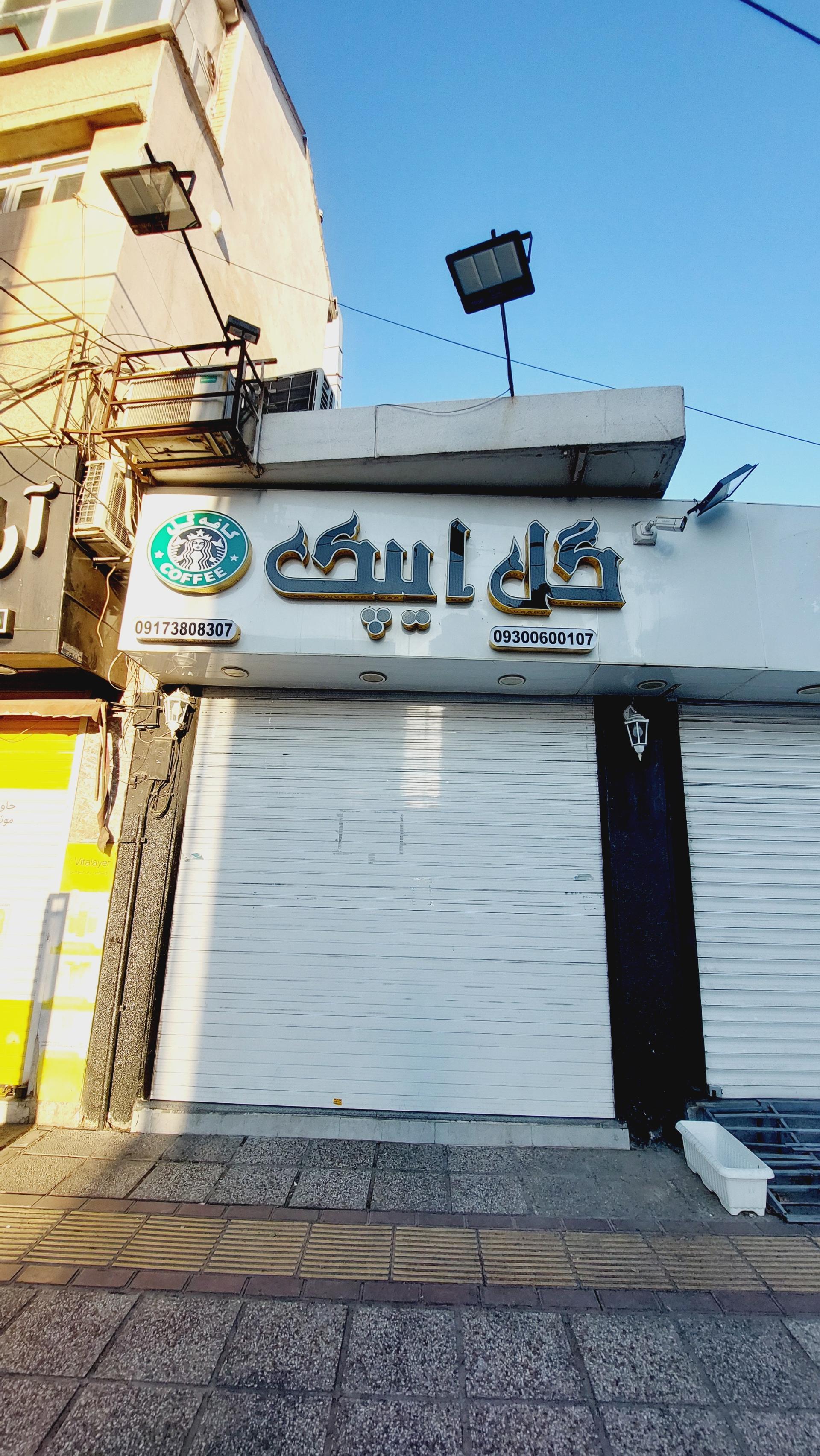 عکس گل ایپک