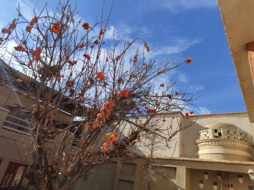 عکس عمارت حاجی بزرگ 