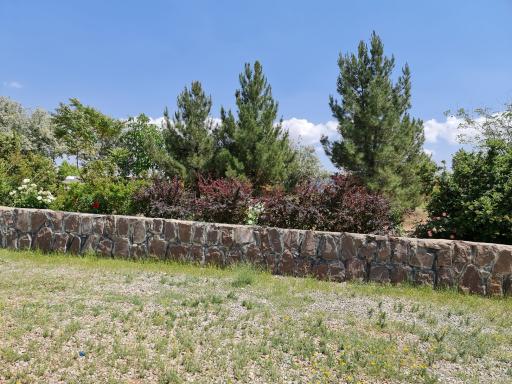 عکس بوستان هومن