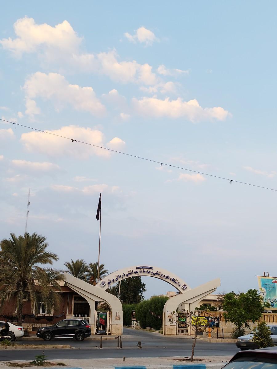 عکس دانشگاه علوم پزشکی بوشهر