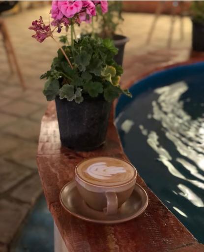 عکس کافه رستوران مون