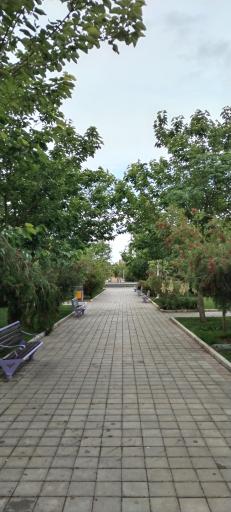 عکس بوستان بهار