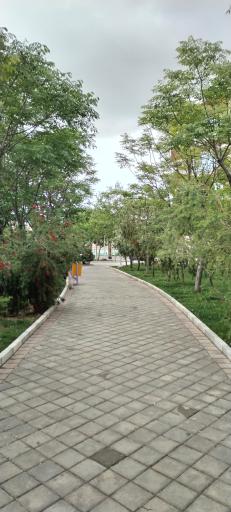 عکس بوستان بهار