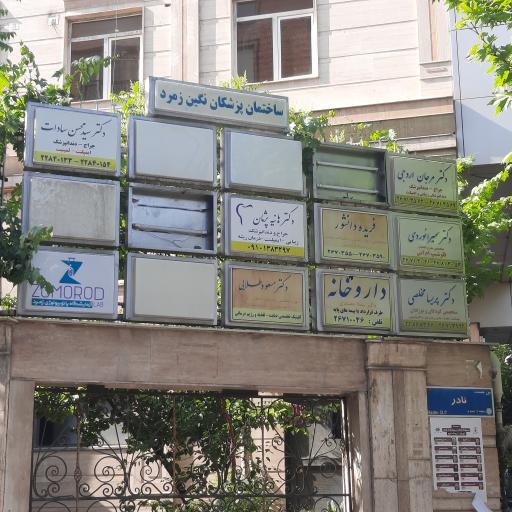 عکس رژیم درمانی ماریا فروتن راد