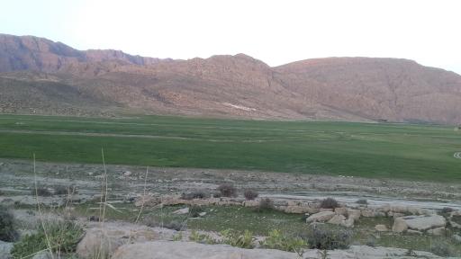 عکس ارسنجان