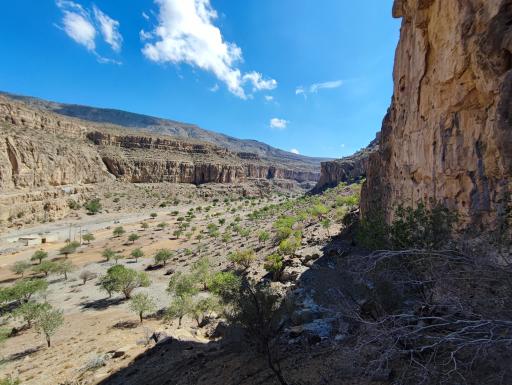 عکس ارسنجان
