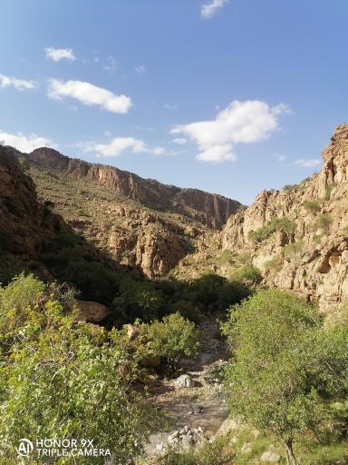 عکس ارسنجان