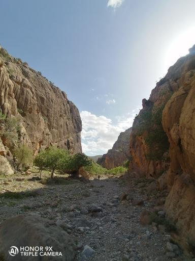 عکس ارسنجان