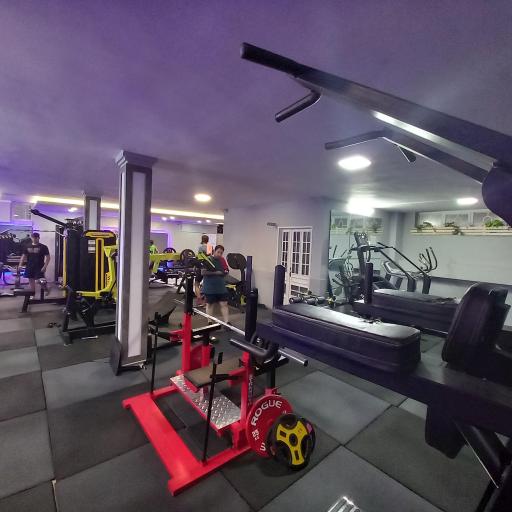 عکس باشگاه پرورش اندام فیت لاین 