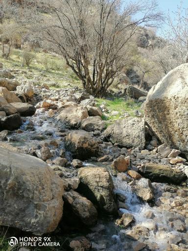 عکس ارسنجان