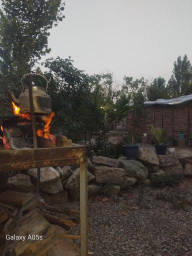 عکس باغ دنج 