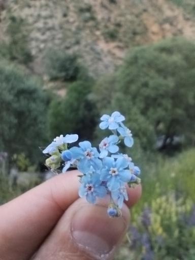 عکس آبشار گل آخور