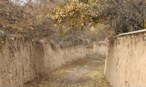 عکس ارسنجان