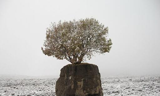 عکس ارسنجان