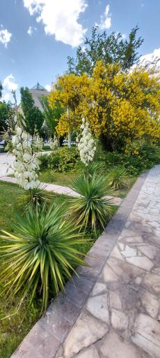 عکس بوستان بهار