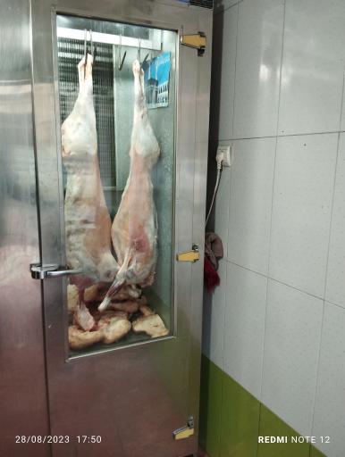 عکس گوشت بره معتمدی