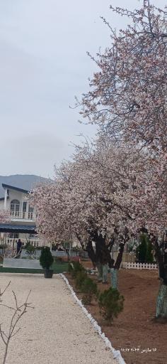 عکس باغ و عمارت فلورا