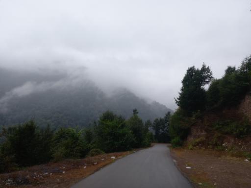 عکس باغ پرندگان