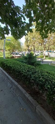 عکس بوستان خطی پونه