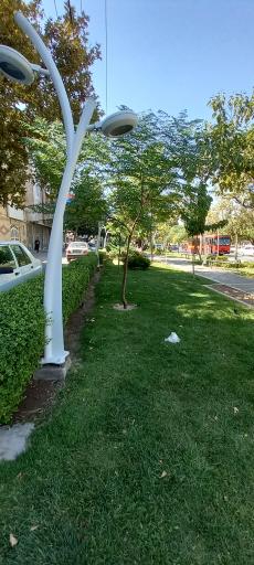 عکس بوستان خطی پونه