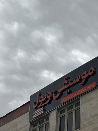 آموزشگاه موسیقی ویول 