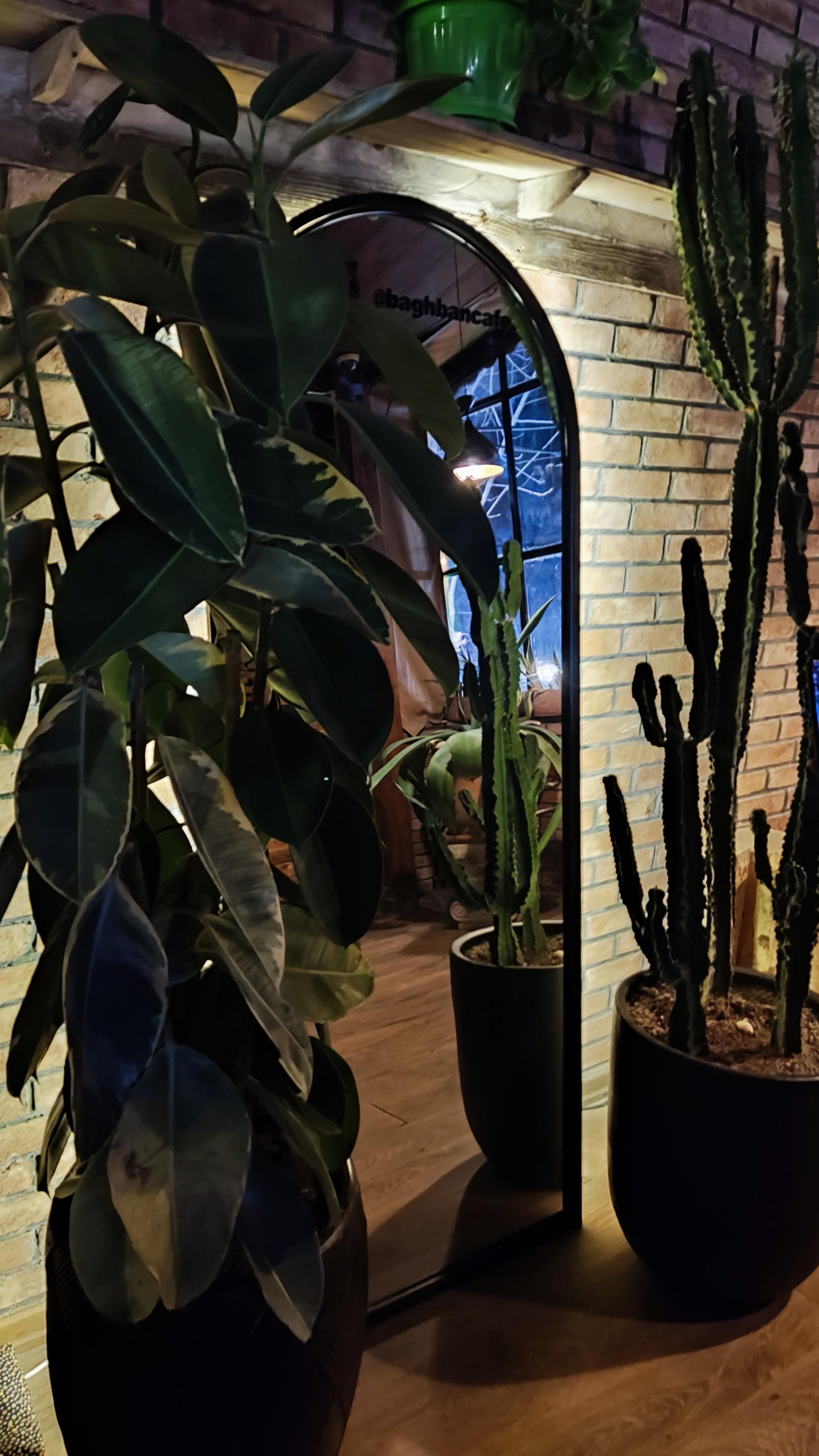 عکس کافی شاپ باغبان