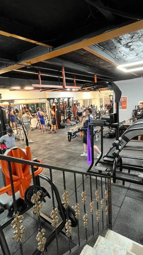 عکس باشگاه ضربان نوین