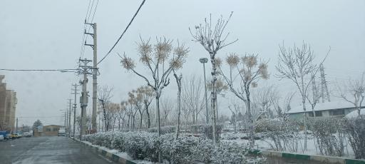 عکس قمصر