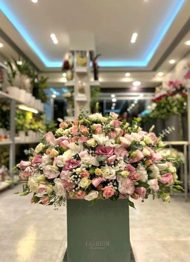 عکس گل فروشی خورشید 