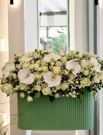 عکس گل فروشی خورشید 